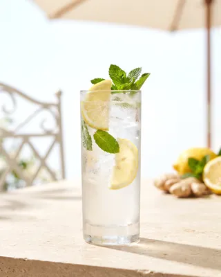 Ginger Fizz in a highball glass with lemon and mint
