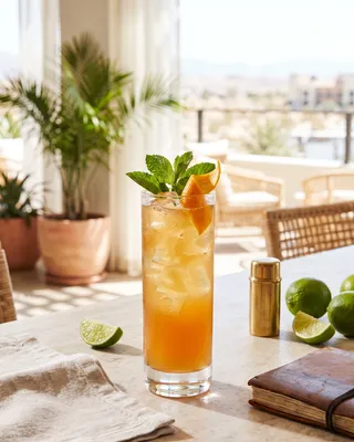 Suffering Bastard in a Collins glass with mint and orange