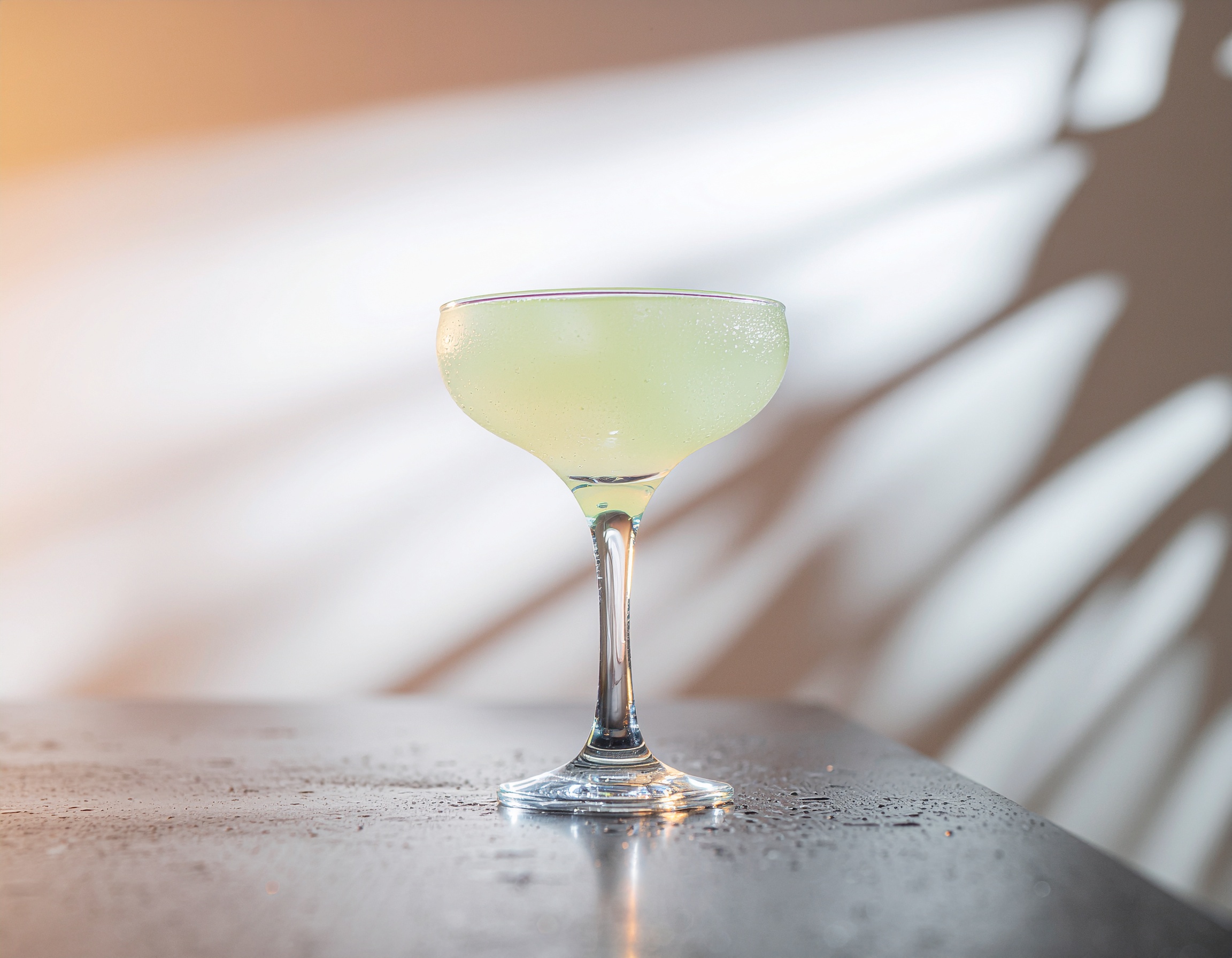 Frozen Daiquiri in a coupe