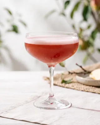 Jack Rose cocktail in a coupe