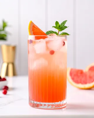 Sea Breeze in a highball glass