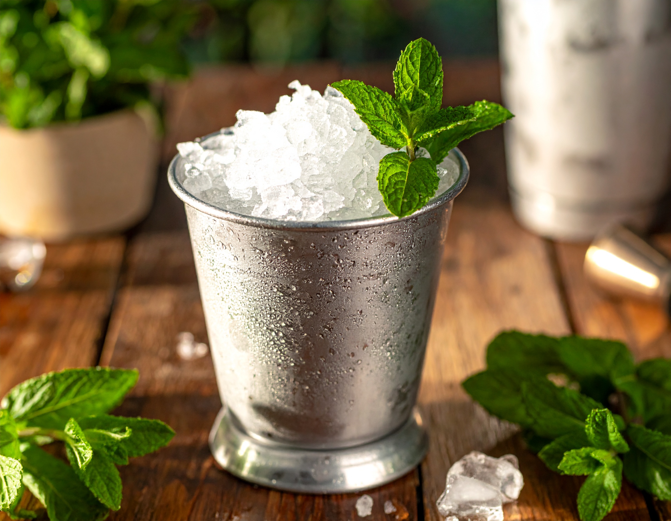 Mint Julep in a julep cup
