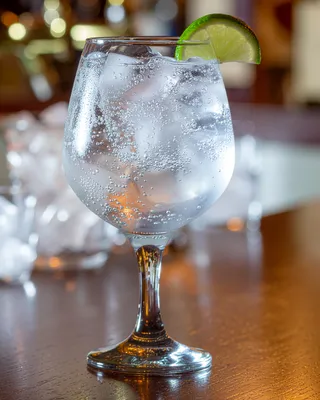 Gin & Tonic in a balloon glass